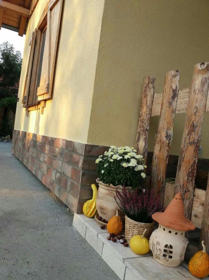 Rita Apartman & Studio Zrenjanin Eksteriør billede