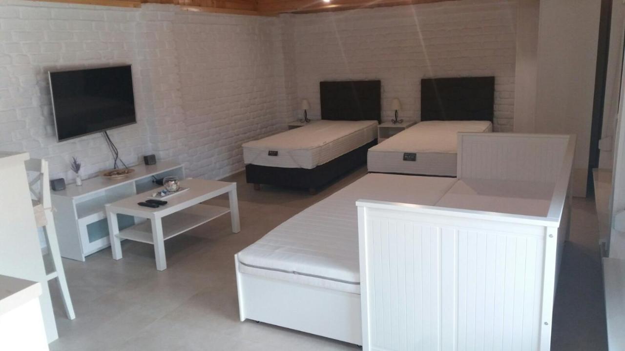 Rita Apartman & Studio Zrenjanin Eksteriør billede