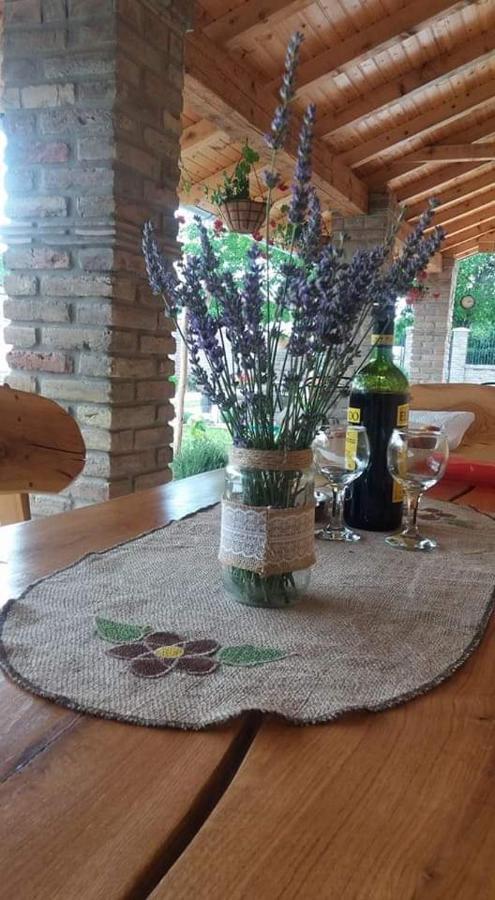 Rita Apartman & Studio Zrenjanin Eksteriør billede